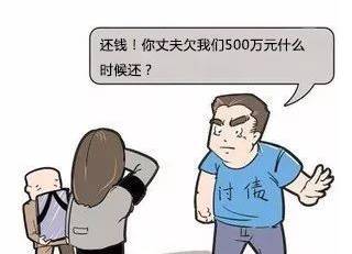 百科栏目