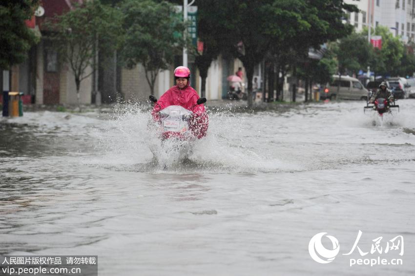 广西暴雨稻田成河